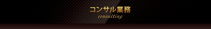 コンサル業務consulting